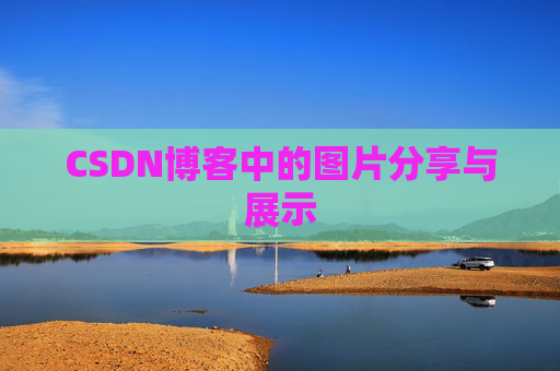 CSDN博客中的图片分享与展示